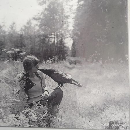 In Nature Беловеж Экстерьер фото