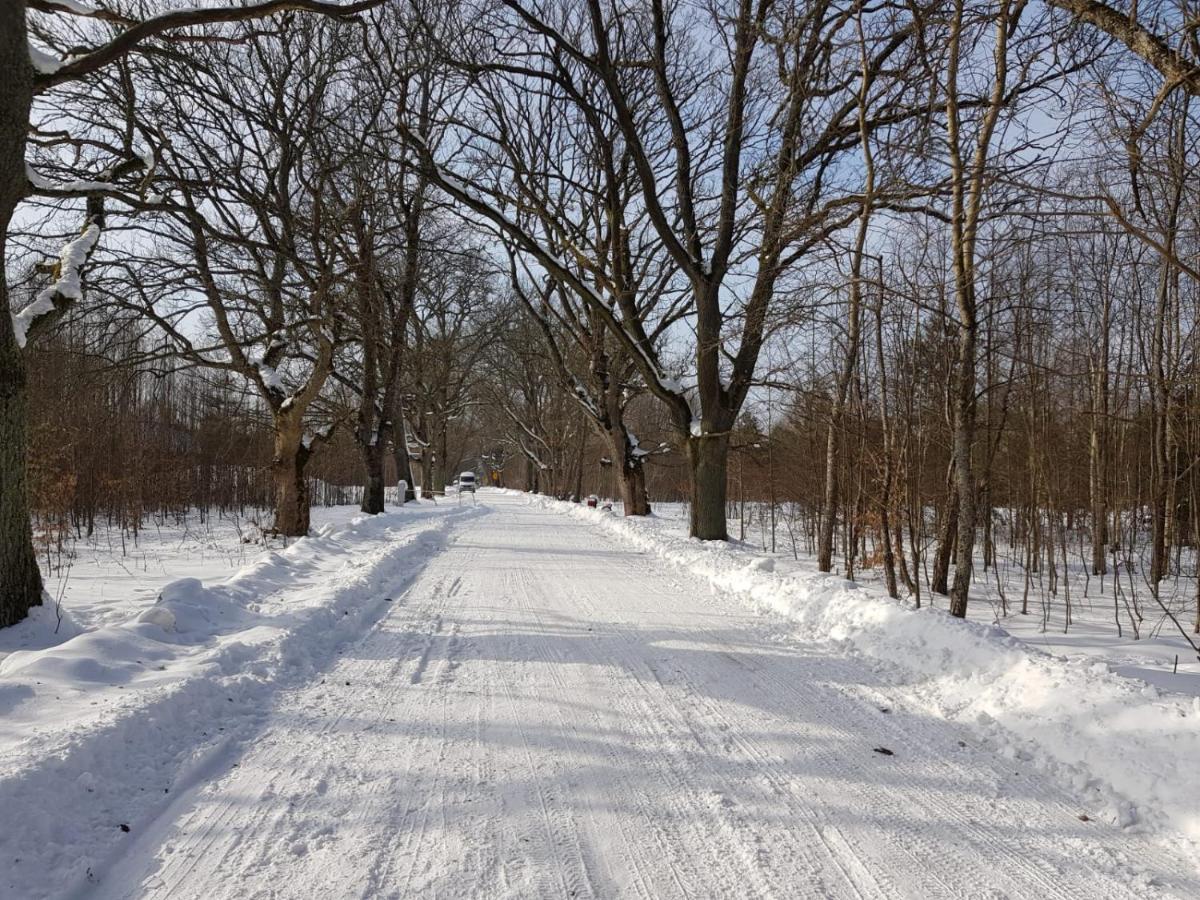 In Nature Беловеж Экстерьер фото