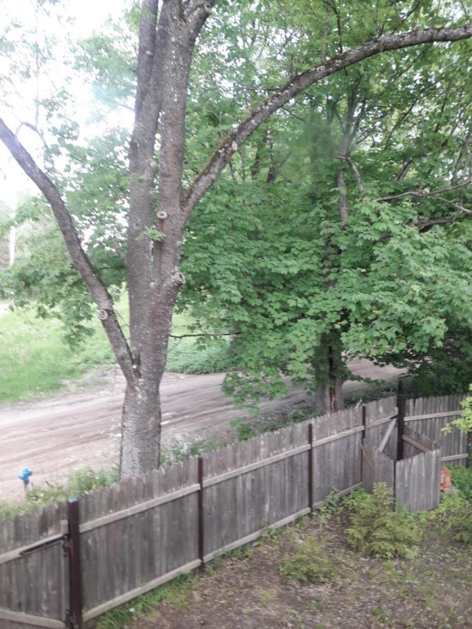 In Nature Беловеж Экстерьер фото