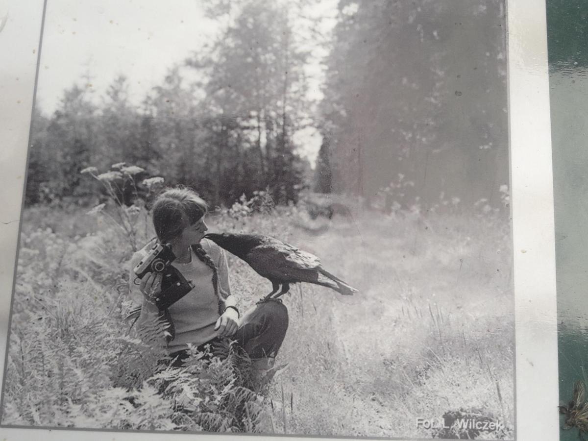 In Nature Беловеж Экстерьер фото