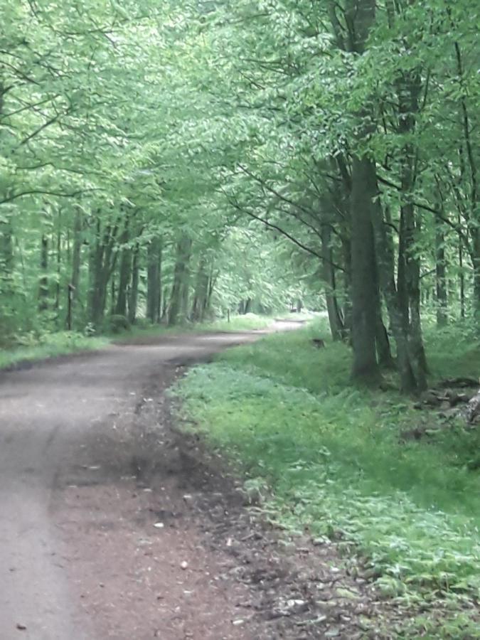 In Nature Беловеж Экстерьер фото