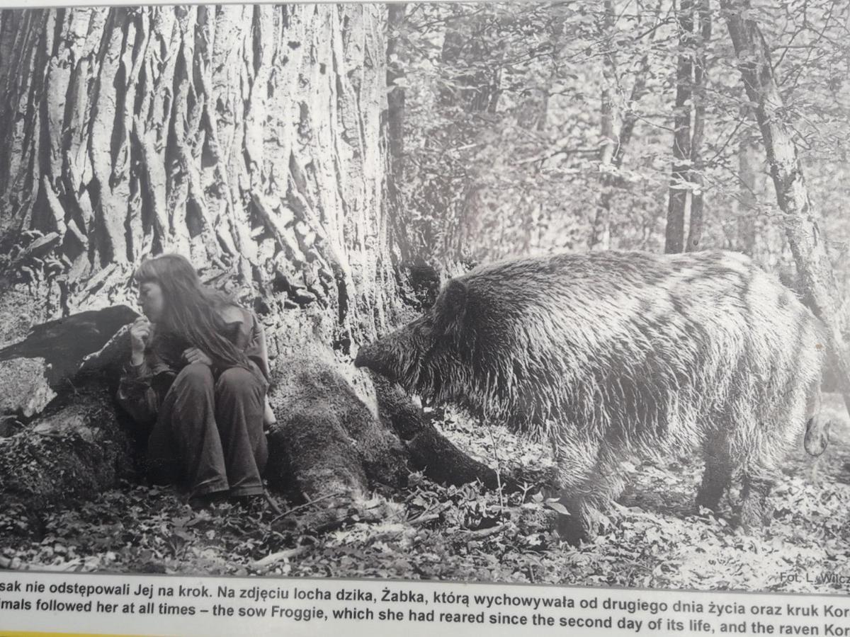 In Nature Беловеж Экстерьер фото