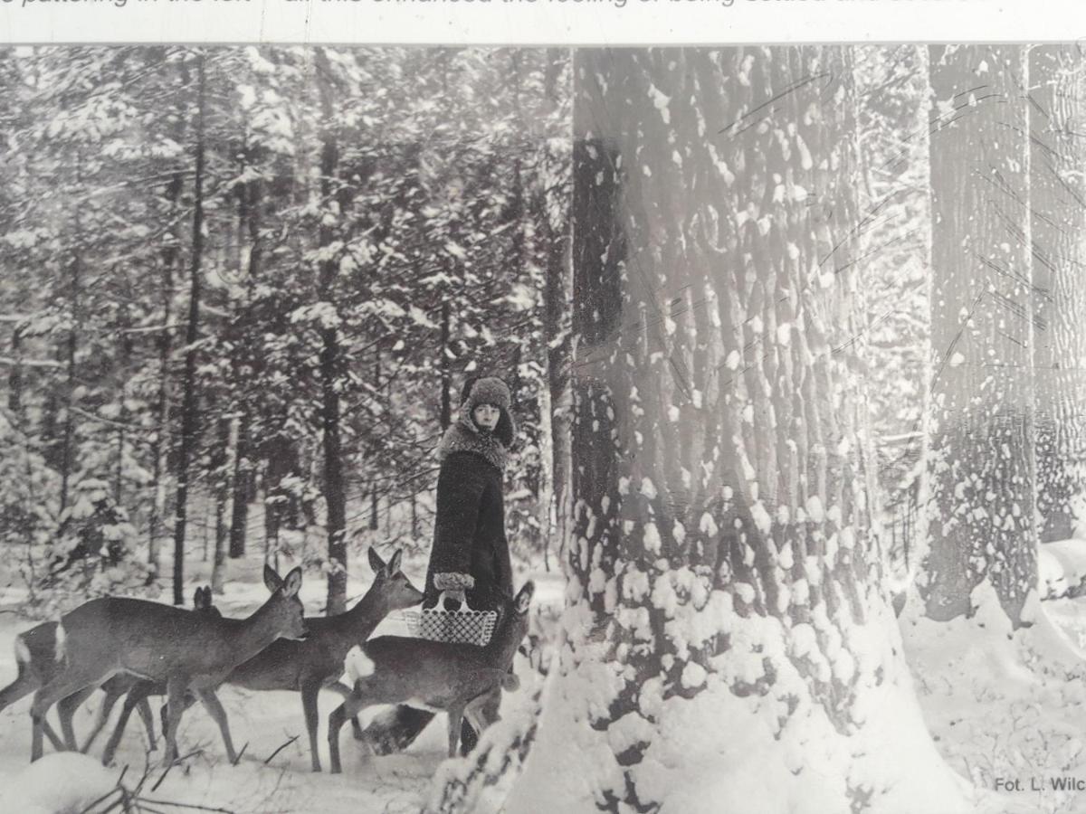 In Nature Беловеж Экстерьер фото