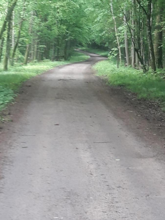 In Nature Беловеж Экстерьер фото