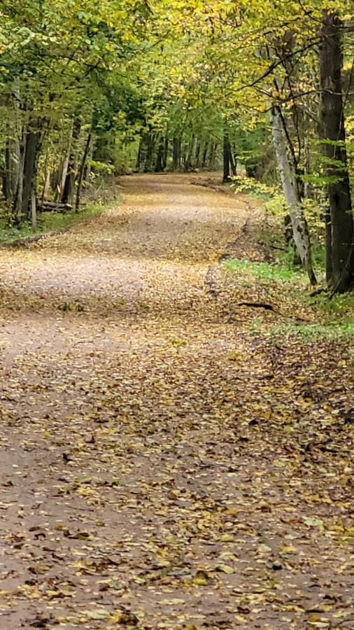 In Nature Беловеж Экстерьер фото