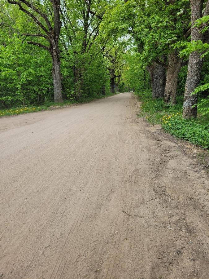 In Nature Беловеж Экстерьер фото