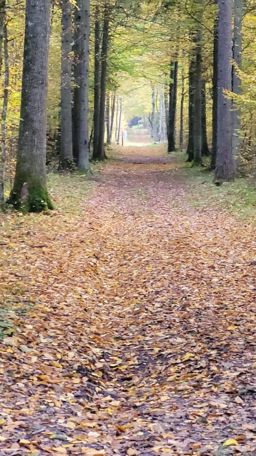 In Nature Беловеж Экстерьер фото